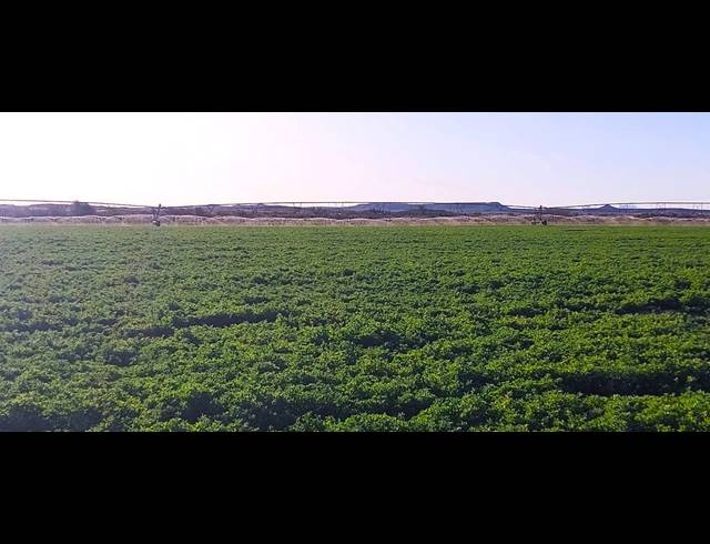 4,642HA FARM FOR SALE IN LEEU GAMKA